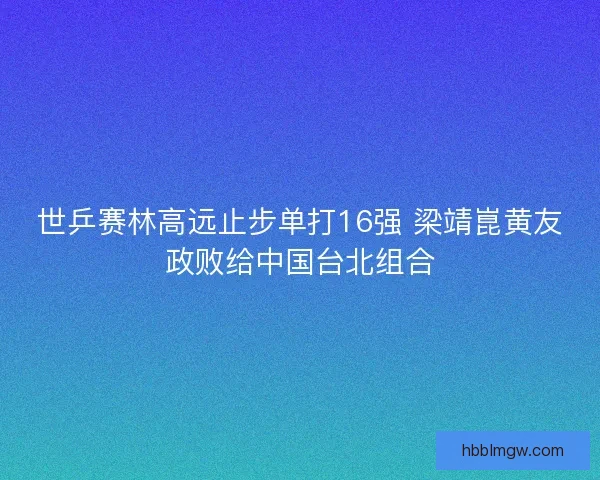 世乒赛林高远止步单打16强 梁靖崑黄友政败给中国台北组合